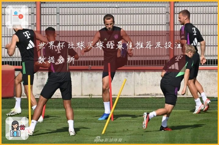 世界杯让球买球的最佳推荐及投注数据分析